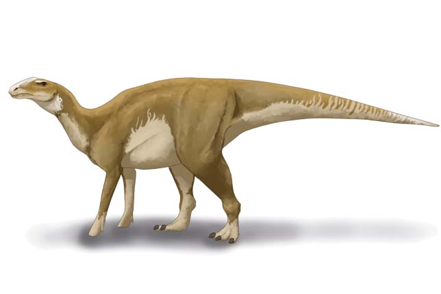 A Hadrosaurus foulkii restaurációjakülönféle csontváz- és ábraelemek alapján. (Fotó: Wikimedia/Audrey.m.horn)