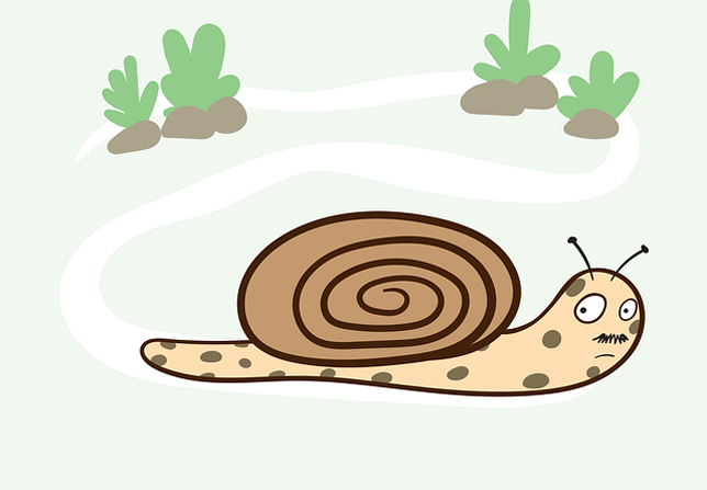 Csiga illusztrácó (Fotó: Pixabay/Saydung)