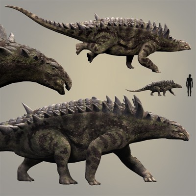 Magyar dinok kiállítása - hungarosaurus tormai
