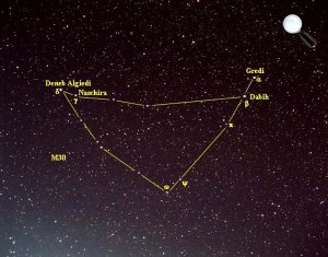 capricornus-bak