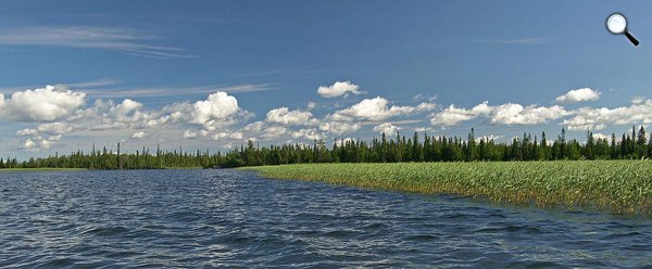 Kanozero-tó (Forrás: Wikipedia.org)