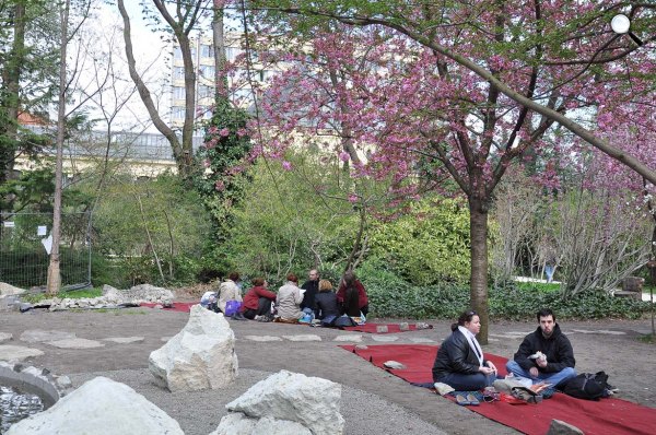 Fűvészkert - japán cseresznyefa virágzás