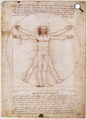 Leonardo da Vinci, Vitruvius-tanulmány,1492