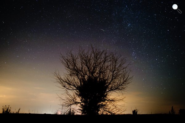 Perseida meteorraj (MTI Fotó: Komka Péter)
