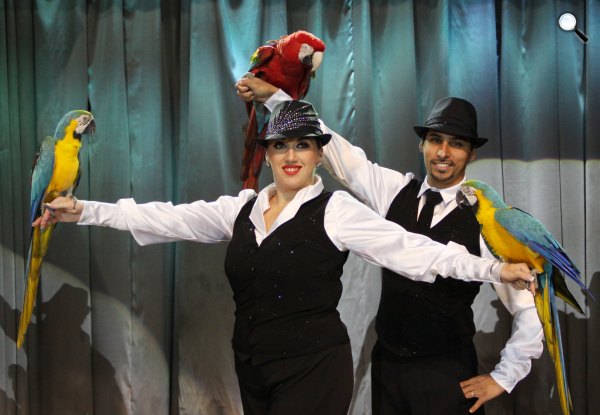 Fővárosi Nagycirkusz, Adele és Francesco