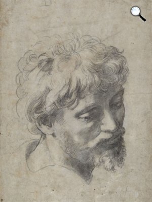 Raffaello, rajz