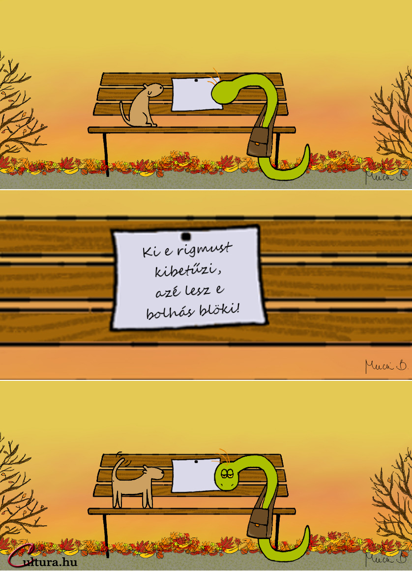 Bolhás a blöki?! (Rajzolta: Mucsi Boglárka)