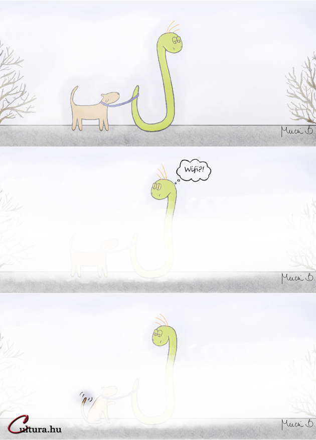 Köd előttem, köd utánam, Wifi! (Rajzolta: Mucsi Boglárka)