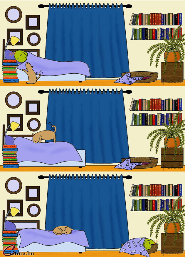 Kígyó a városban - Pszt! Hol alszik a Kígyó? (Rajzolta: Mucsi Boglárka)