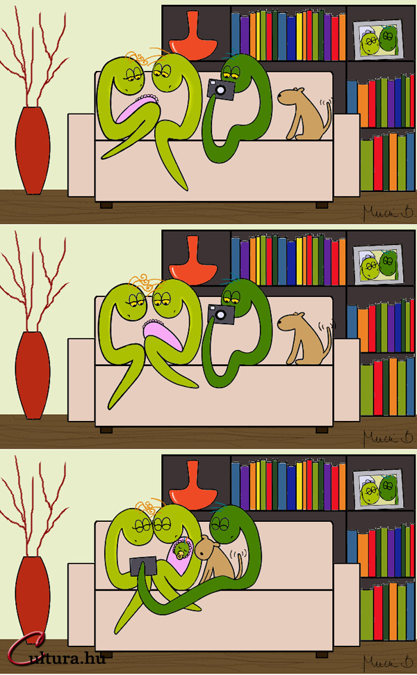 Kígyó a városban - Kígyó a pólyában? (Rajzolta: Mucsi Boglárka)