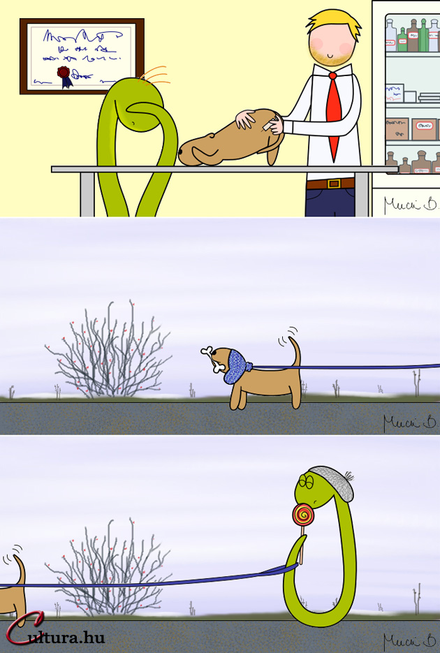 Kígyó a városban - A fájdalommentesítő vizit? (Rajzolta: Mucsi Boglárka)
