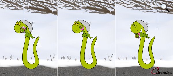 Kígyó a városban - Egy csepp, meg kettő? (Rajzolta Mucsi Boglárka)