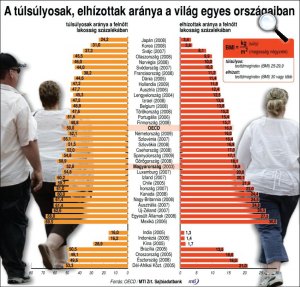 Túlsúlyosak aránya a világon (Forrás: MTI)