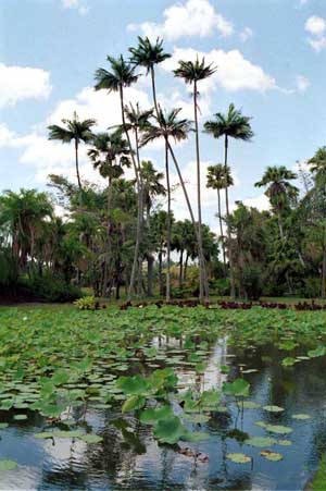 Mauritius