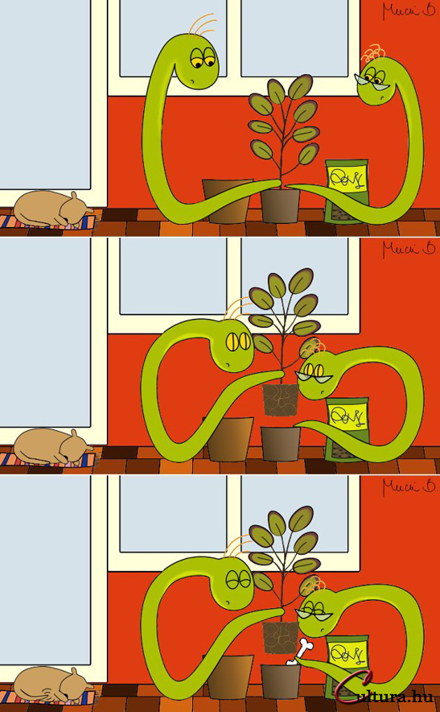 Kígyó a városban - Ahol a csont megterem? (Rajzolta: Mucsi Boglárka)