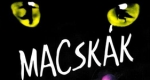 Macskák musical
