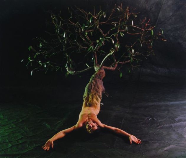 Gyenis Tibor: Az Hommage á Ana Mendieta sorozatból, 1999. (Forrás: LuMú)