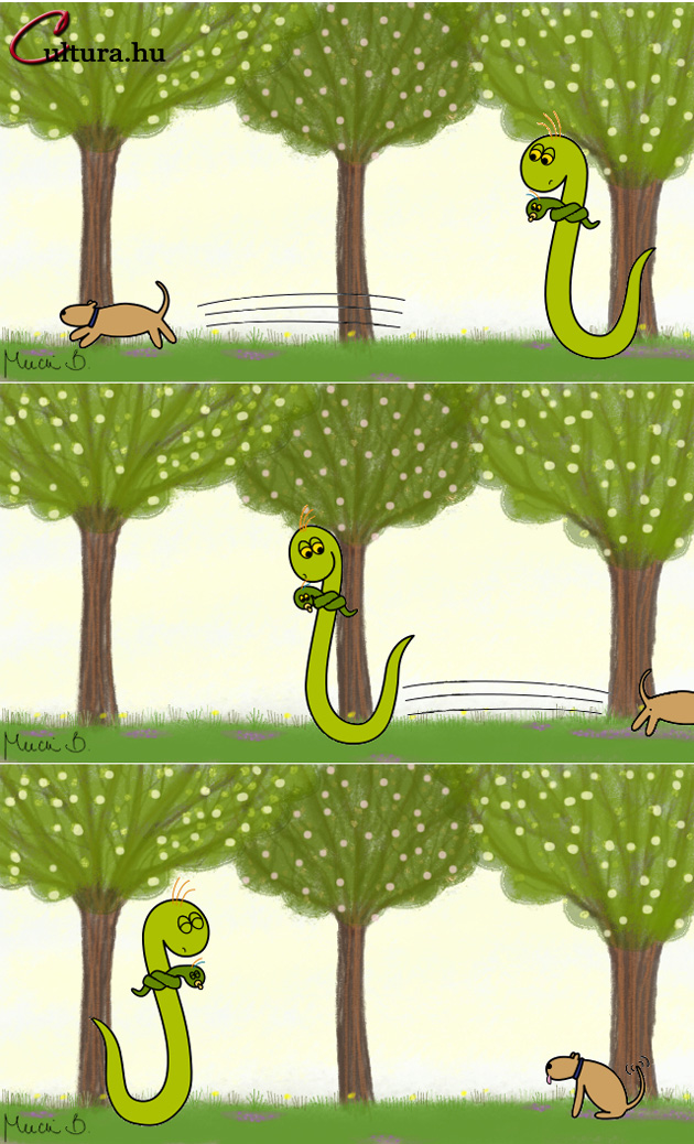Kígyó a városban - Fuss, Wifi, fuss! (Illusztrálta: Mucsi Boglárka)