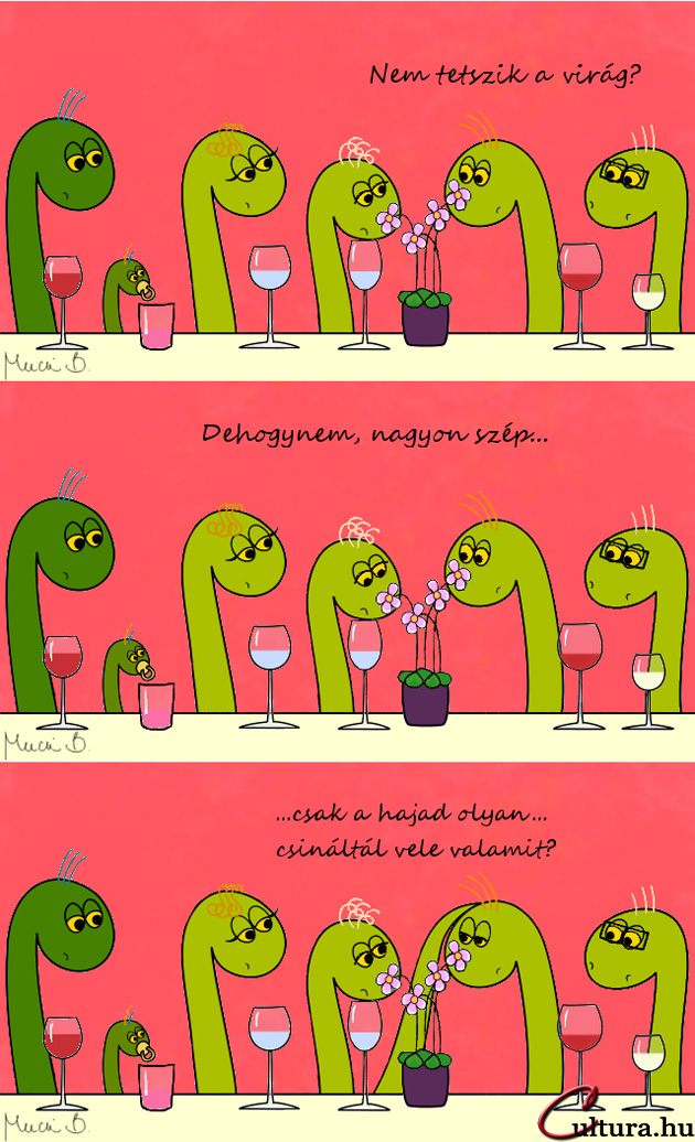 Kígyó a városban - Jaj, Anya...! (Iillusztrálta: Mucsi Boglárka)