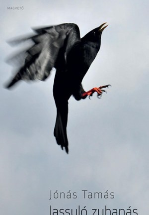 Jónás Tamás: Lassuló zuhanás