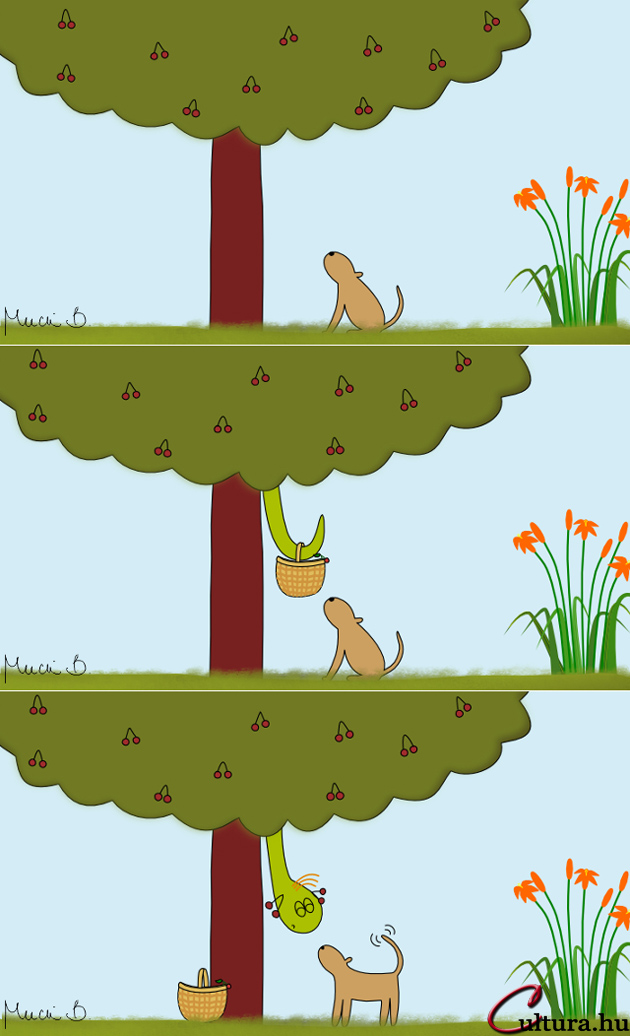 Kígyó a városban - Kígyó a cseresznyefán (Illusztrálta: Mucsi Boglárka)