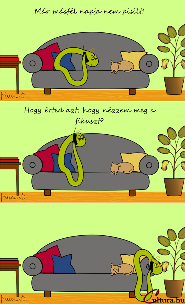 Kígyó a városban - A fikuszok hallgatnak (Illusztrálta: Mucsi Boglárka)