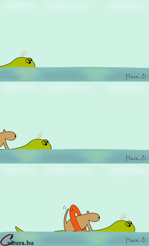 Kígyó a városban - Nicsak, egy vízi csoda (Illusztrálta: Mucsi Boglárka)