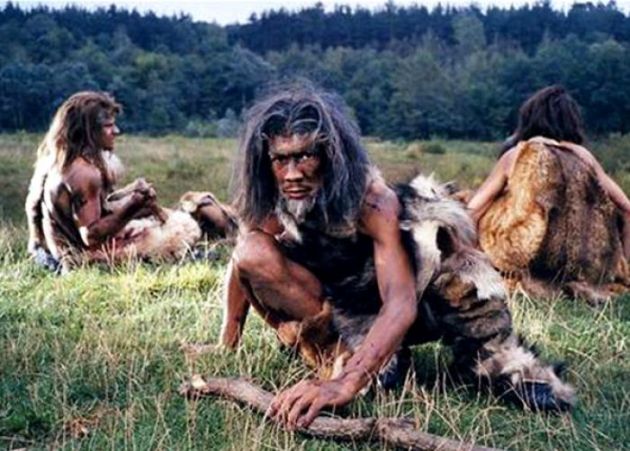 Homo erectus