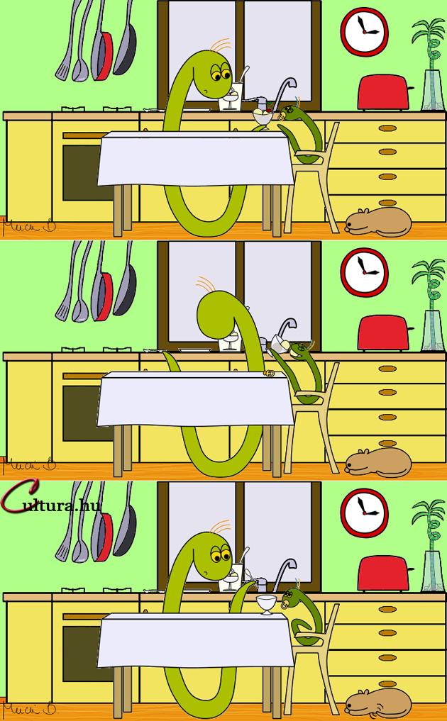 Kígyó a városban - Fagyizni tudni kell (Illusztrálta: Mucsi Boglárka)