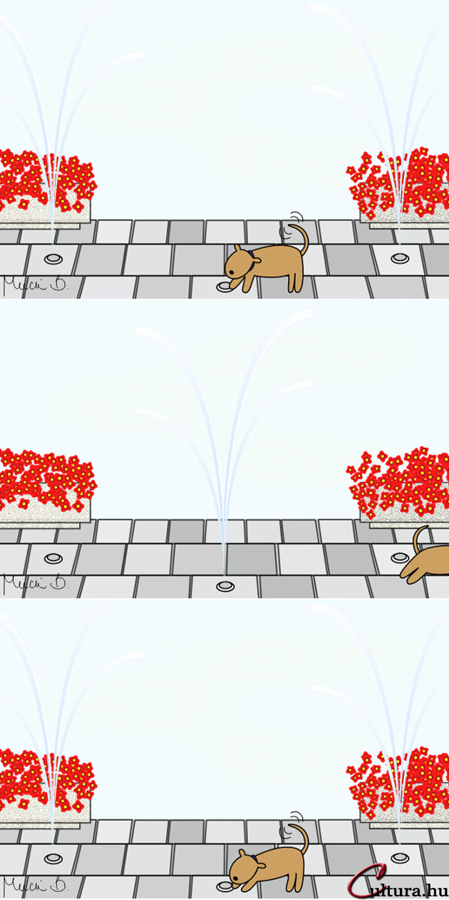 Kígyó a városban - Vigyázz, szökőkút! (Illusztrálta: Mucsi Boglárka)