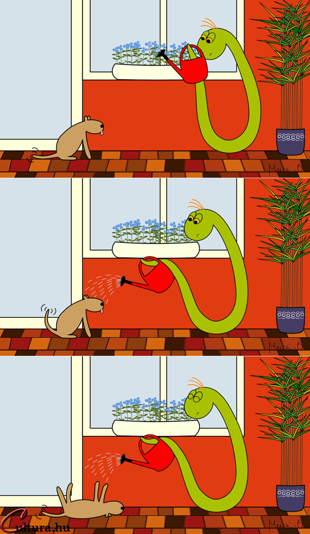 Kígyó a városban - Amikor a víz az úr (Illusztrálta: Mucsi Boglárka)