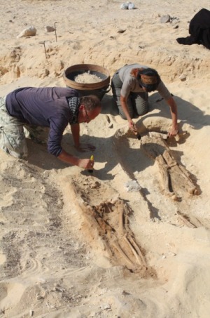 ásatás, lábgyűrű (Forrás: Amarna Project)