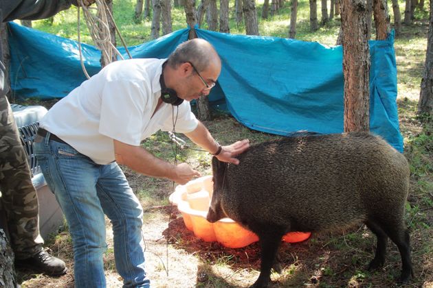 Kossuthkifli forgatás, Rudolf Péter