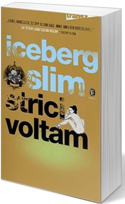 Iceberg Slim: Strici voltam (Fotó: cultura.hu)