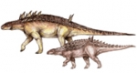páncélos dinoszauruszok (Grafika: Pecsics Tibor, forrás: MTA)