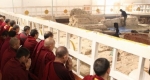 Májá déví templom, Buddha (fotó: nationalgeographic.com)