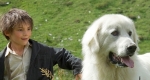 Belle és Sébastien (fotó: MTVA)