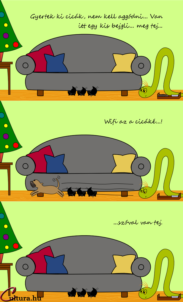  Kígyó a városban - Kóbor vendég, merre vagy? (Illusztrálta: Mucsi Boglárka)