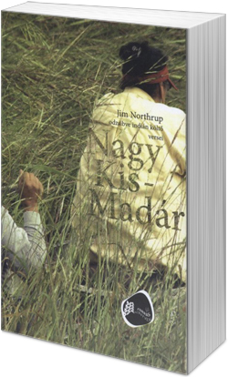 Jim Northrup: Nagy Kis-madár (fotó: Cultura)