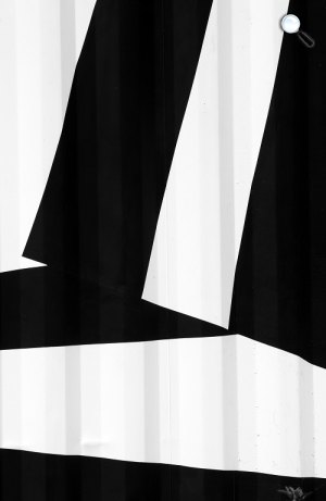 Fotószuprematisták, Robitz Anikó  (fotó: Capa Központ)