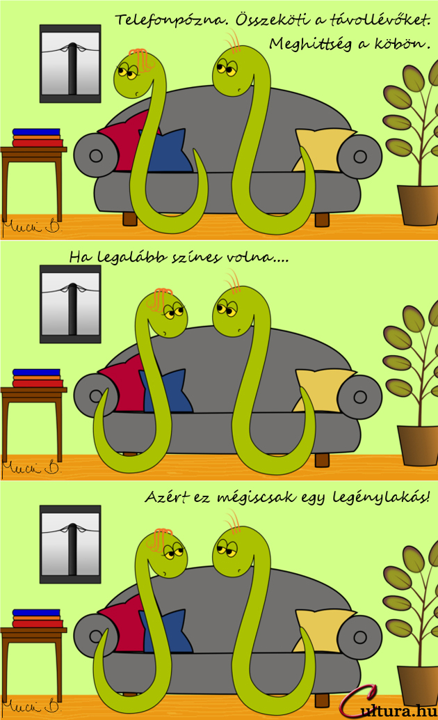 Kígyó a városban - "Férfias" újévi fogadalmak (illusztrátor: Mucsi Boglárka)