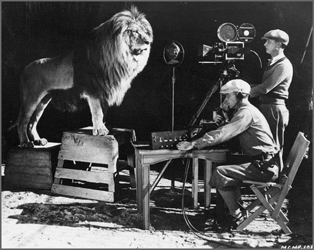 Metro-Goldwyn-Mayer-szpot készítése, oroszlán (fotó: Hollywood Renegades Archive)