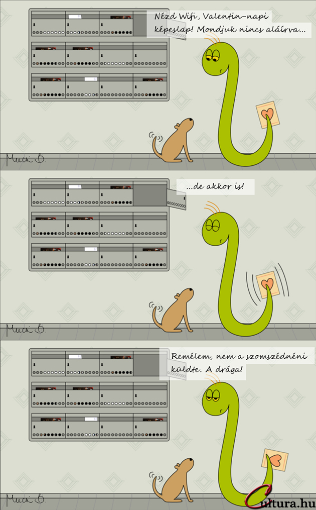 Kígyó a városban - A vallomás napja (illusztrálta: Mucsi Boglárka)
