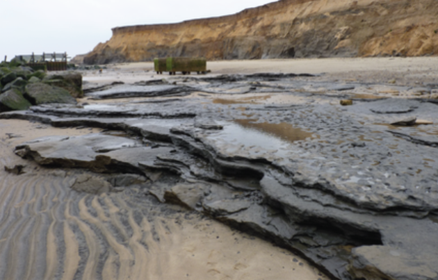 800 éves lábnyomok, Norfolk, Happisburgh (fotó: Plose One)