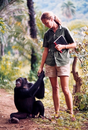 Jane Goodall (Fotó: The Jane Goodall Institute, janegoodall.org)