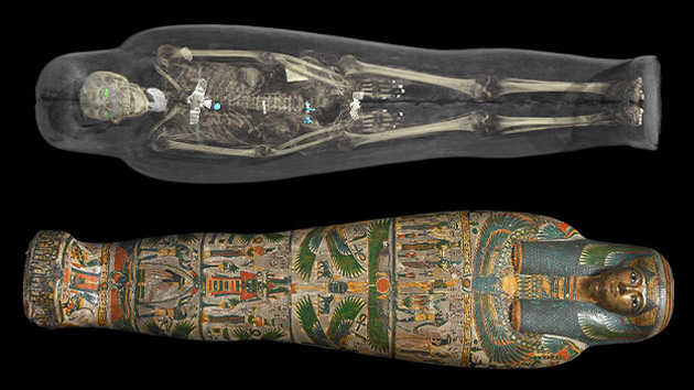 Tamut, British Museum  (Fotó: British Museum)
