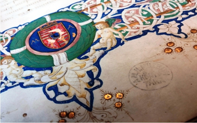 Hunyadi Mátyás címere a Plautus corviában