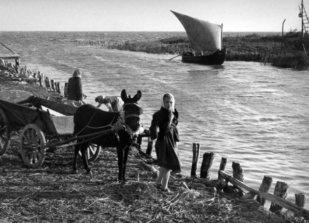 Danube Revisited - Inge Morath: Donau  (Fotó: Inge Morath Foundation/Capa Központ)