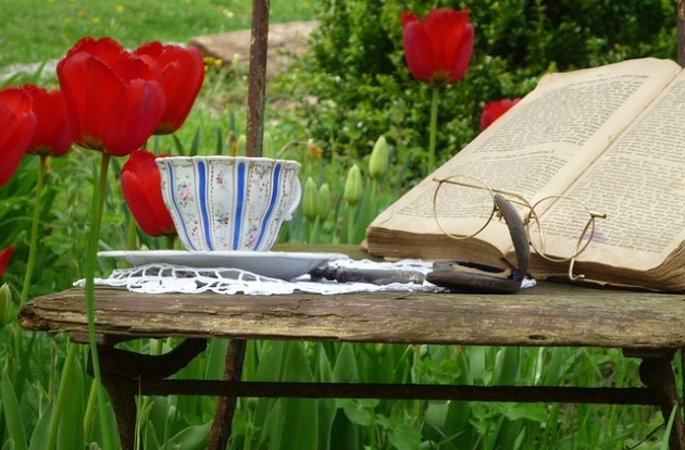 könyv, tulipán