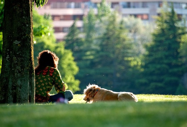 Kutya és gazdája jó barátok pihennek a parkban (Fotó: Pixabay)